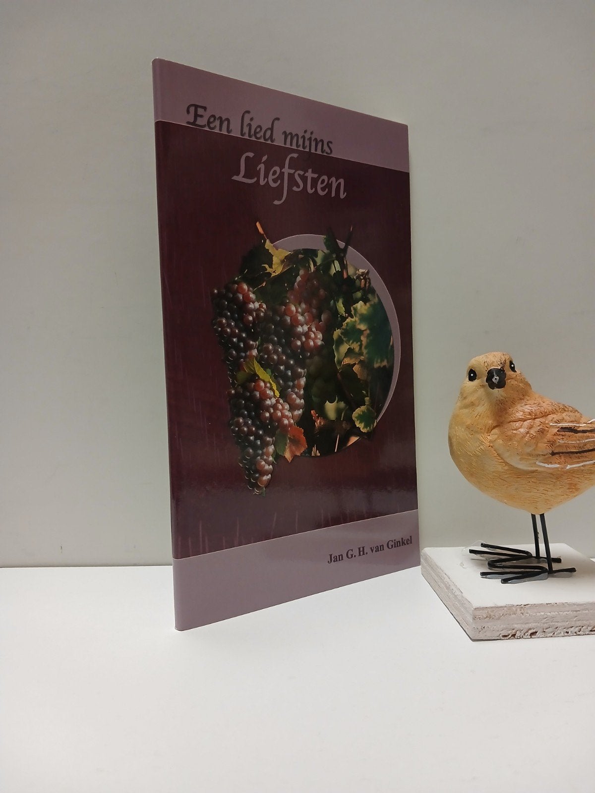 Ginkel, Jan G.H. van; Een lied mijns Liefsten, Ophalen of Verzenden, Gelezen, Christendom | Protestants