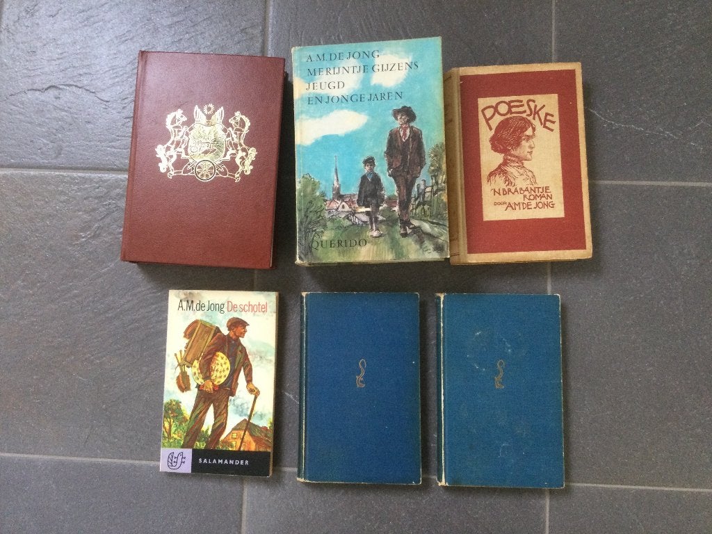 6 boeken van A. M. De Jong, Boeken, Ophalen of Verzenden, Gelezen, A. M. De Jong
