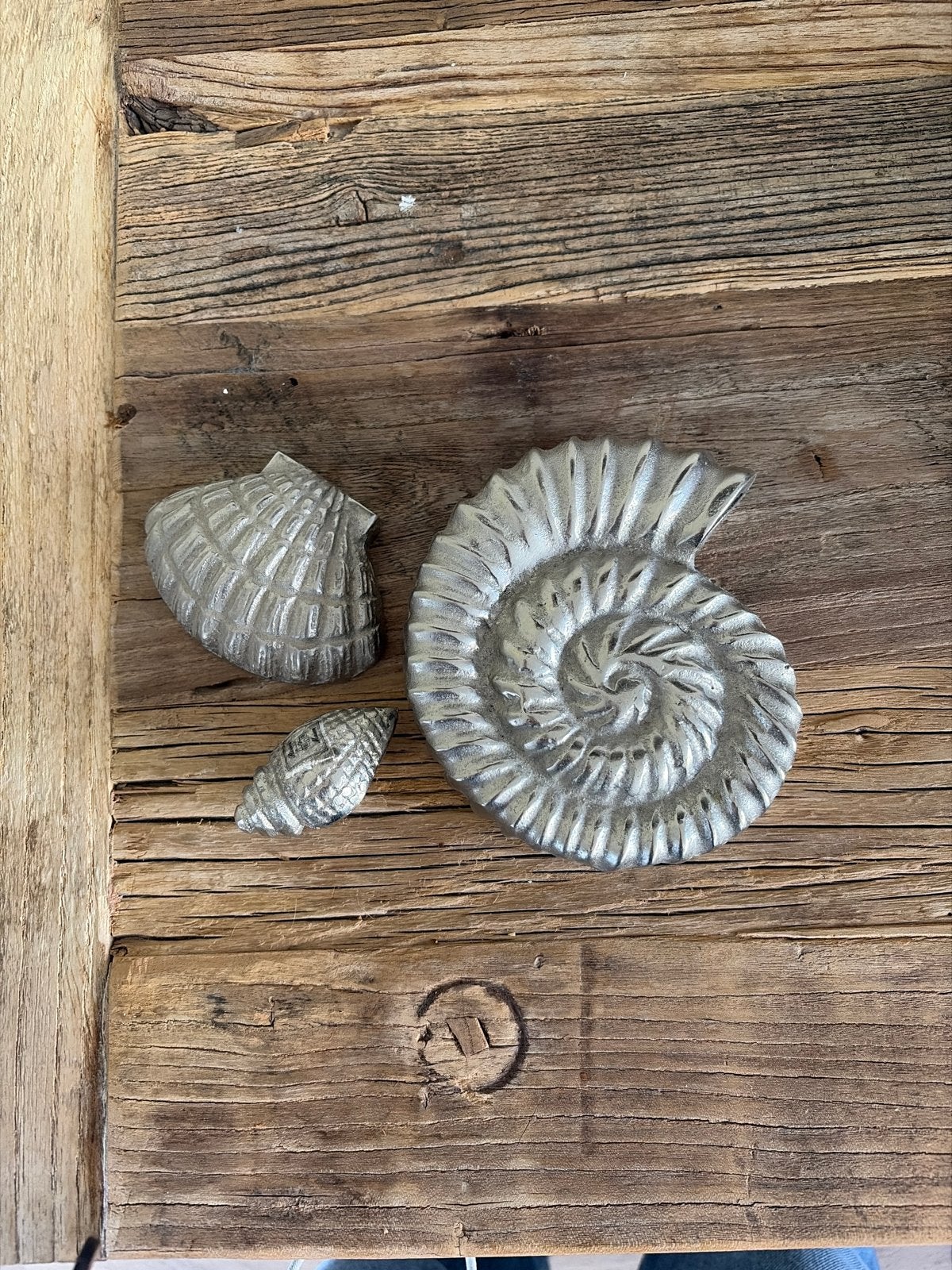 Decoratieve Schelpen en Ammoniet -riviera Maison, Vintage, Ophalen of Verzenden, Zo goed als nieuw, Metaal
