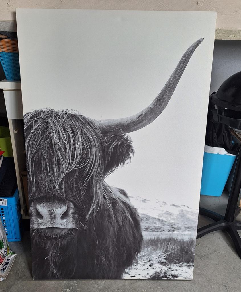 Groot canvas schilderij, Ophalen, 125 cm of meer, Zo goed als nieuw, Schilderij