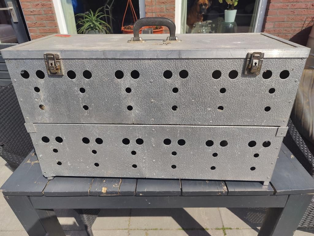 Te koop duivenmand, Dieren en Toebehoren, Mannelijk