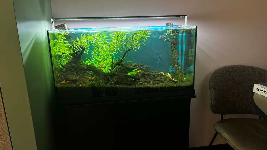 Aquarium met toebehoren (zeer compleet), Ophalen, Verwarming, Zo goed als nieuw, Gevuld zoetwateraquarium