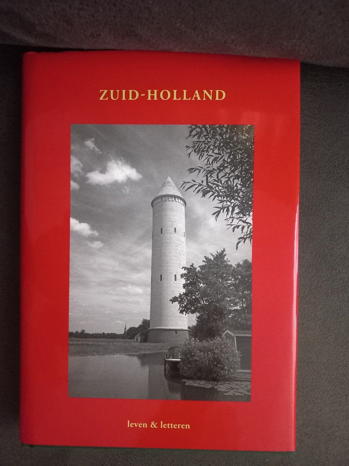 Boek Zuid-Holland: Leven & Letteren (Stichting Achterland), Ophalen