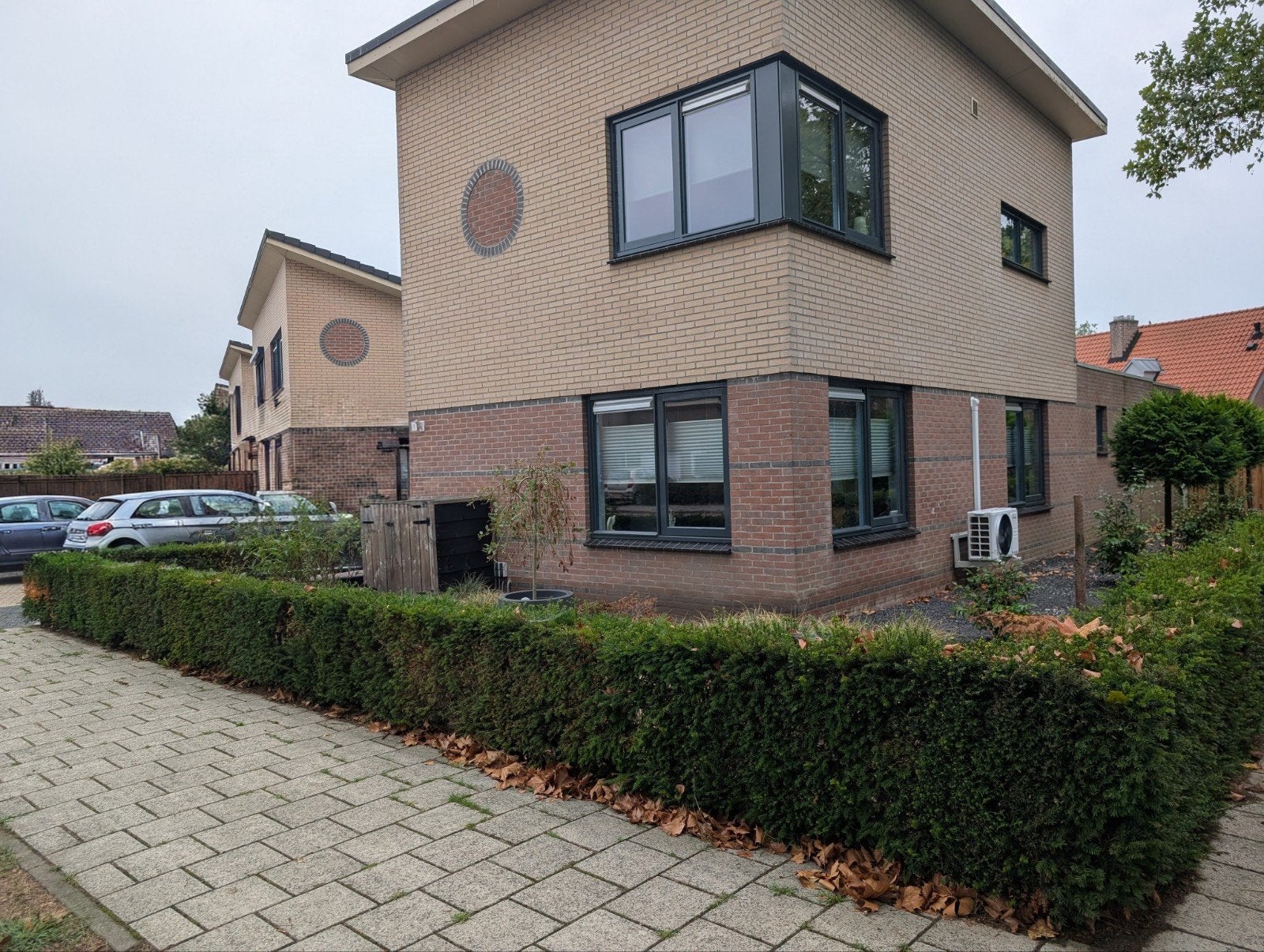 Gratis taxus haag