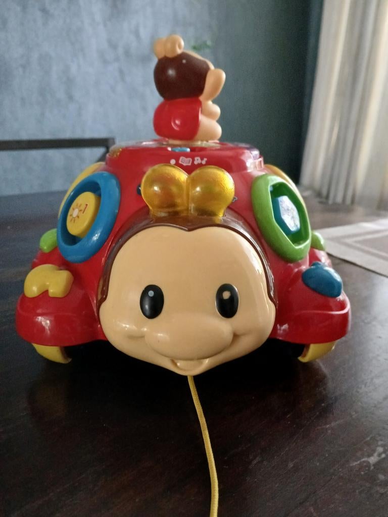 Vrolijke vormenkever, Ophalen, Gebruikt, 2 tot 4 jaar