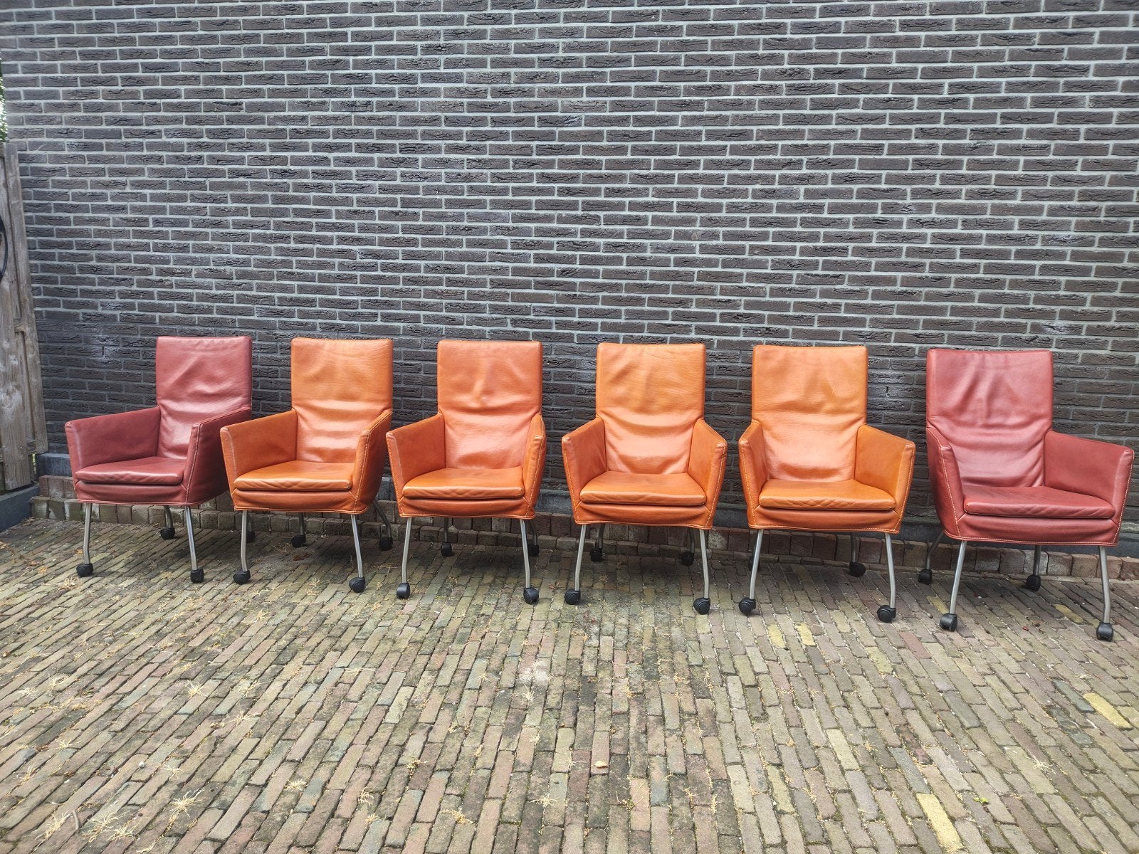 Label Donna Rock (6), Ophalen, Gebruikt, Vijf, Zes of meer stoelen