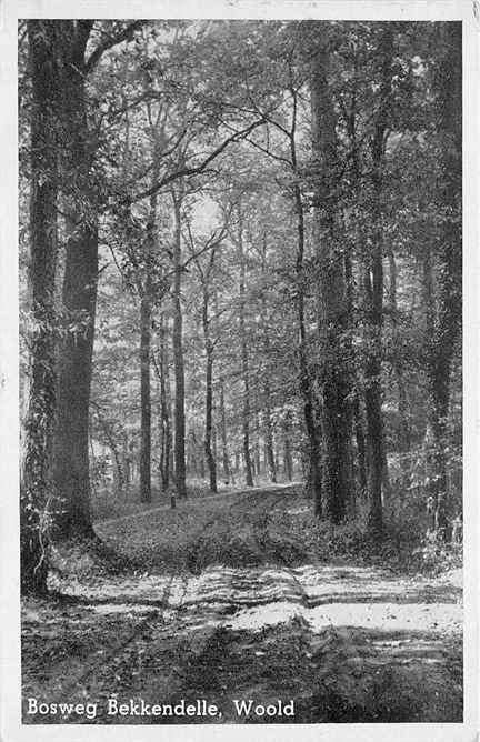 301-236-025 Winterswijk Woold Bosweg Bekkendelle, Verzenden, Voor 1920, Gelderland