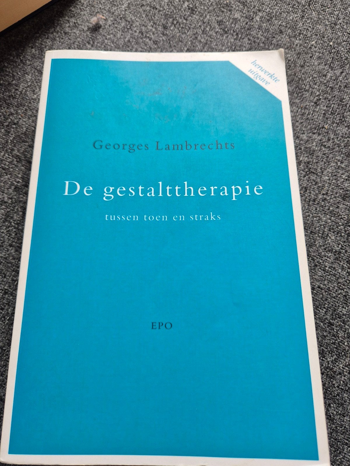 G. Lambrechts - De gestalttherapie tussen toen en straks, Boeken, Ophalen of Verzenden, G. Lambrechts, Ontwikkelingspsychologie
