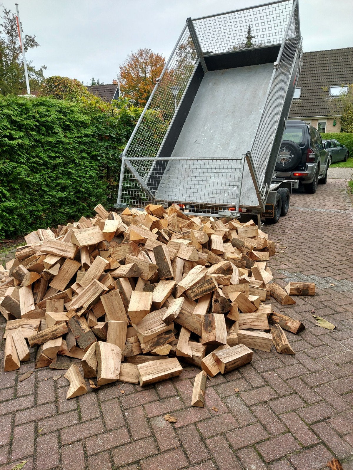Ovengedroogd Beuken haardhout 25cm, 6 m³ of meer, Ophalen, Beukenhout, Blokken