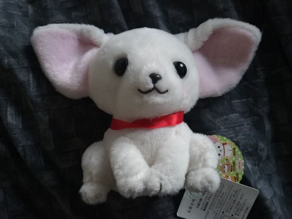 Plush Fennec vos feneky the Fennec fox amuse prize +/- 14cm, Overige merken, Overige karakters, Nieuw, Ophalen of Verzenden