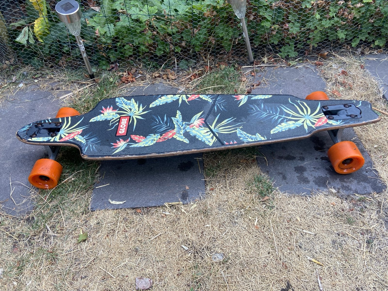 Globe Longboard met tropische print, Sport en Fitness, Skateboarden, Ophalen, Gebruikt, Skateboard, Longboard