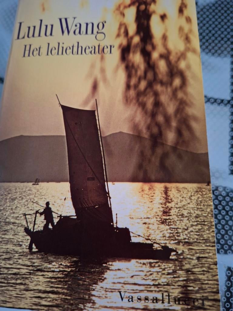 Het Lelietheater - Lulu Wang (roman), Ophalen of Verzenden, Gelezen, Lulu Wang, Nederland