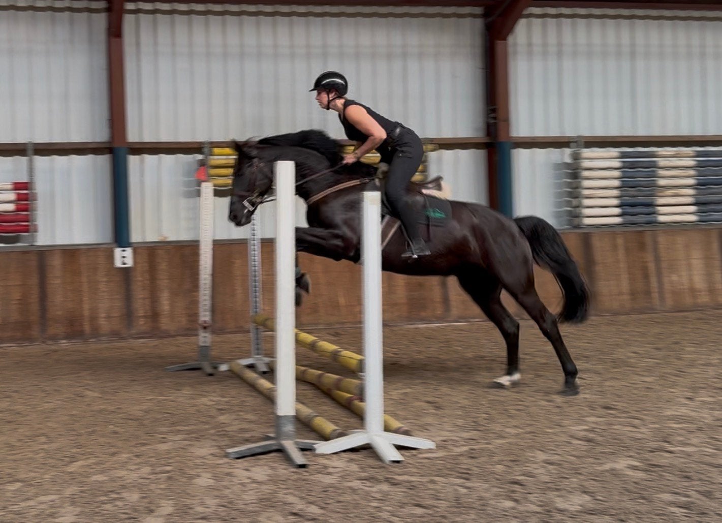 Gave allrounder!, Dieren en Toebehoren, Springpaard, Ruin, 7 tot 10 jaar, 160 tot 165 cm