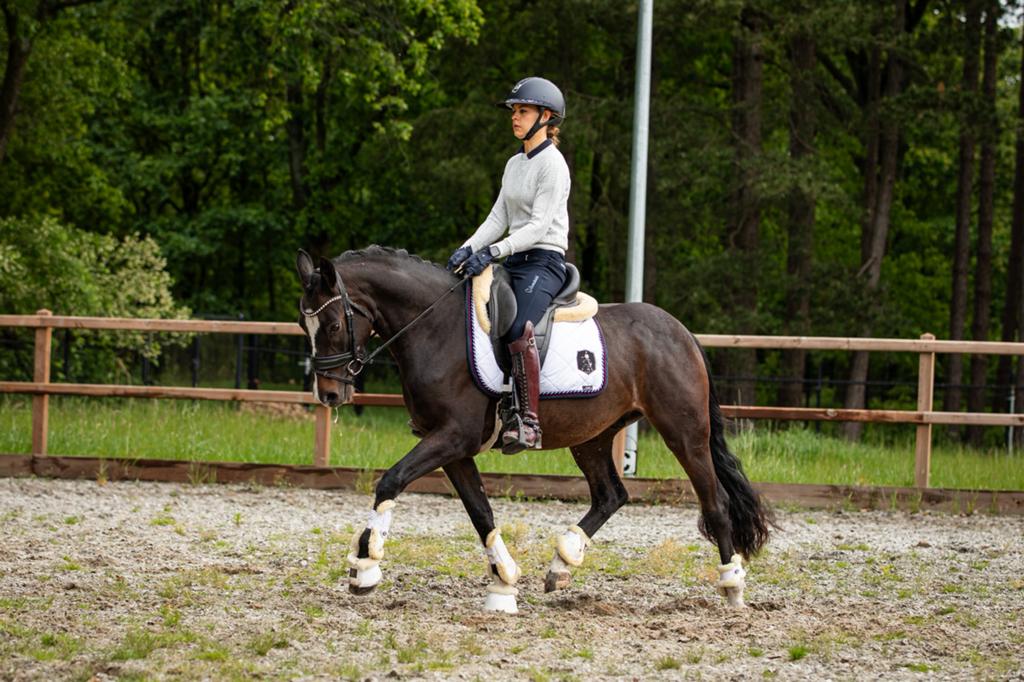 mega lieve en getalenteerde D welsh NWR, Dieren en Toebehoren, Pony's, Ruin, Dressuurpony, 3 tot 6 jaar, D pony (1.37m tot 1.48m)