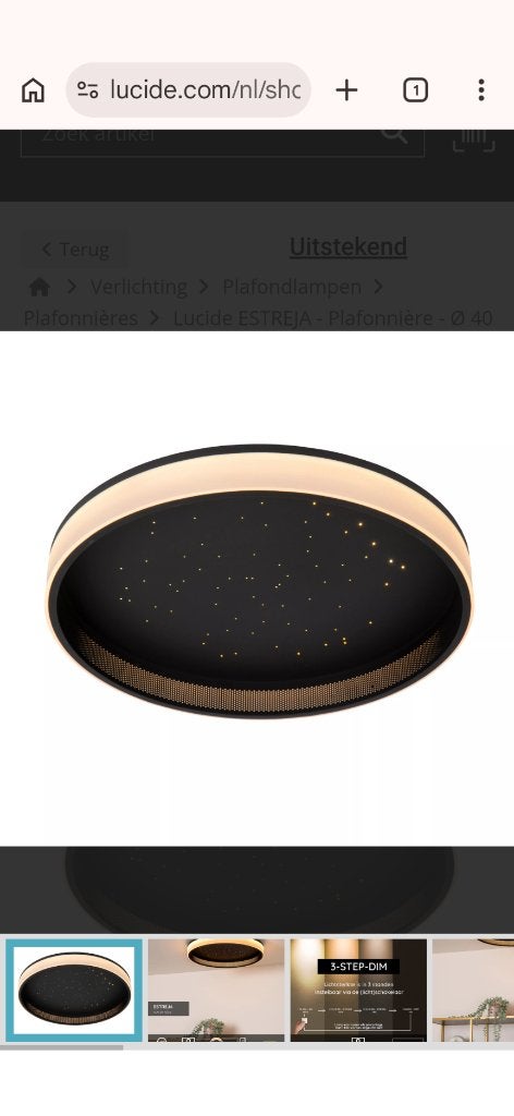 Luxe plafondlamp van Lucida  (2 stuks), Modern, Zwart, Overige fittingen, Ophalen of Verzenden
