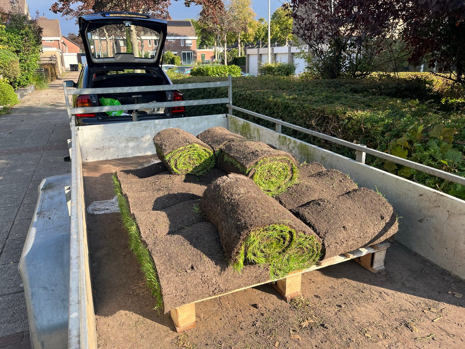 16 rollen vers gazongras voor uw tuin, Tuin en Terras, Ophalen of Verzenden, Nieuw, 20 m² of meer, Gras