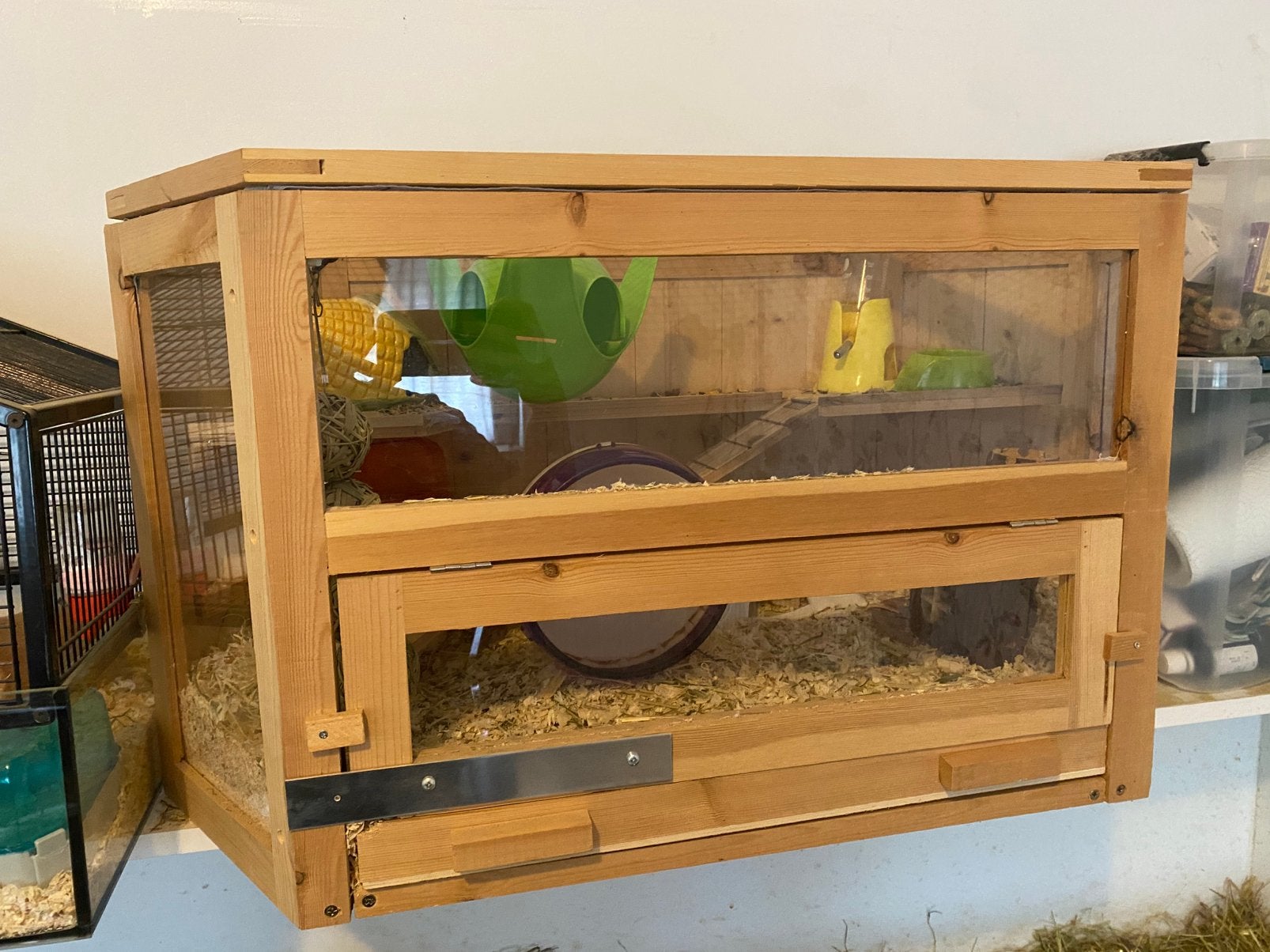 Russische dwerghamster met hok, Dieren en Toebehoren, Knaagdieren, Januari, Vrouwelijk, Hamster