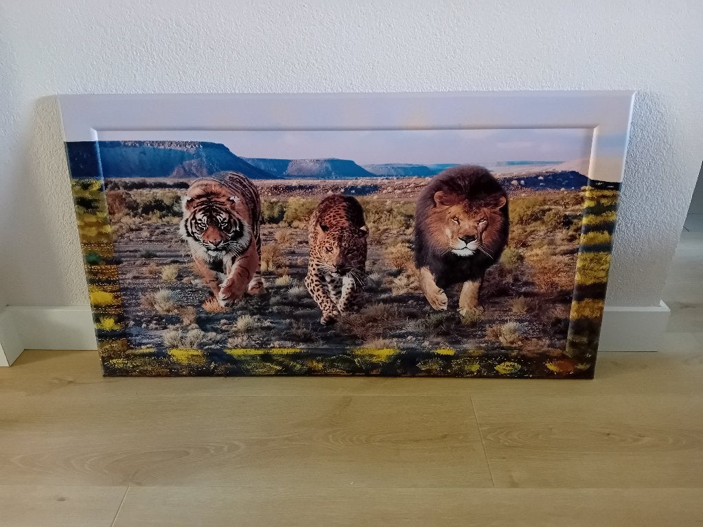 Schilderij te koop, Antiek en Kunst, Kunst | Schilderijen | Klassiek, Ophalen, Paneel, Realistisch, Dieren