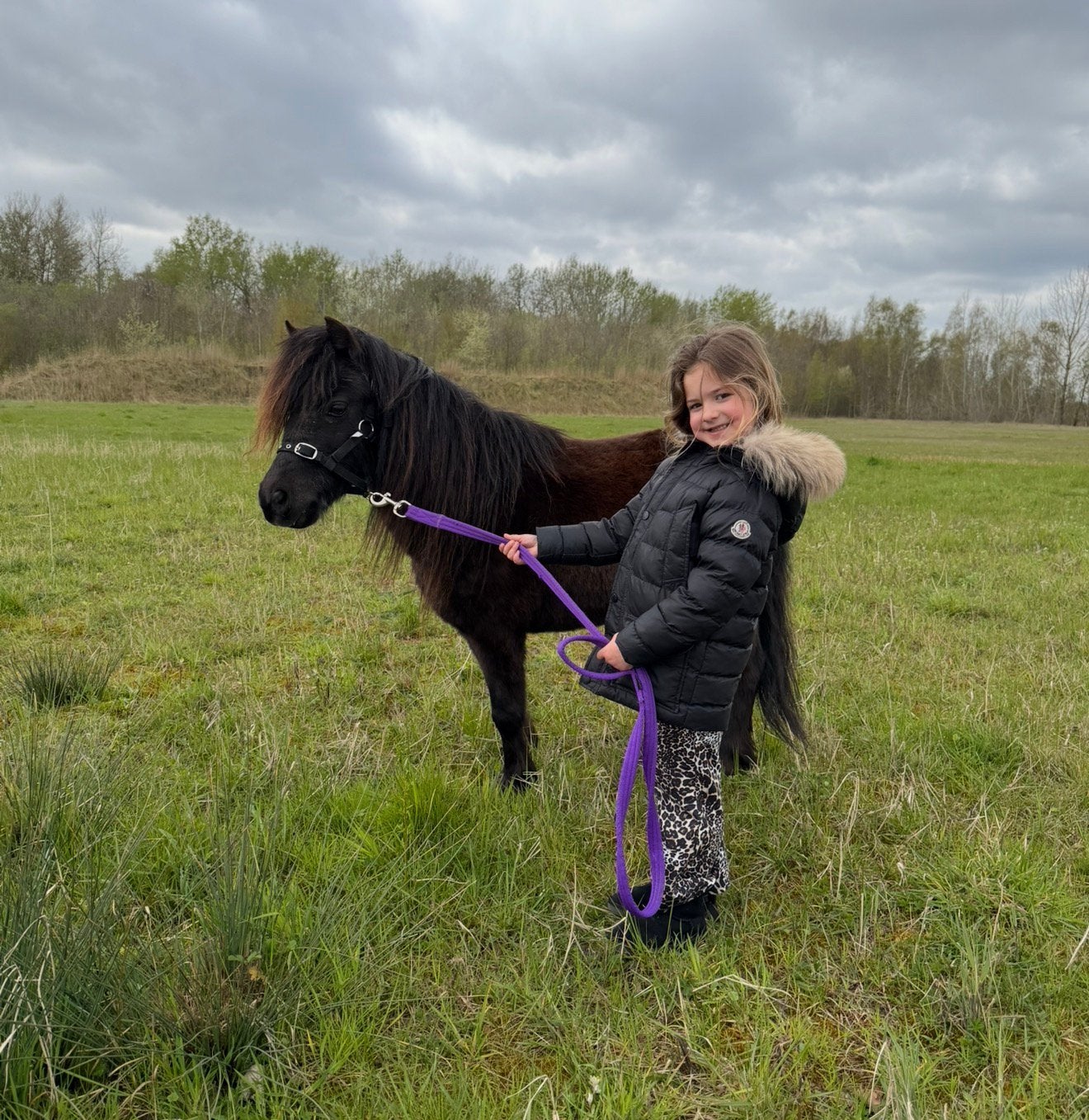 NMPRS mini / kinder pony merrie