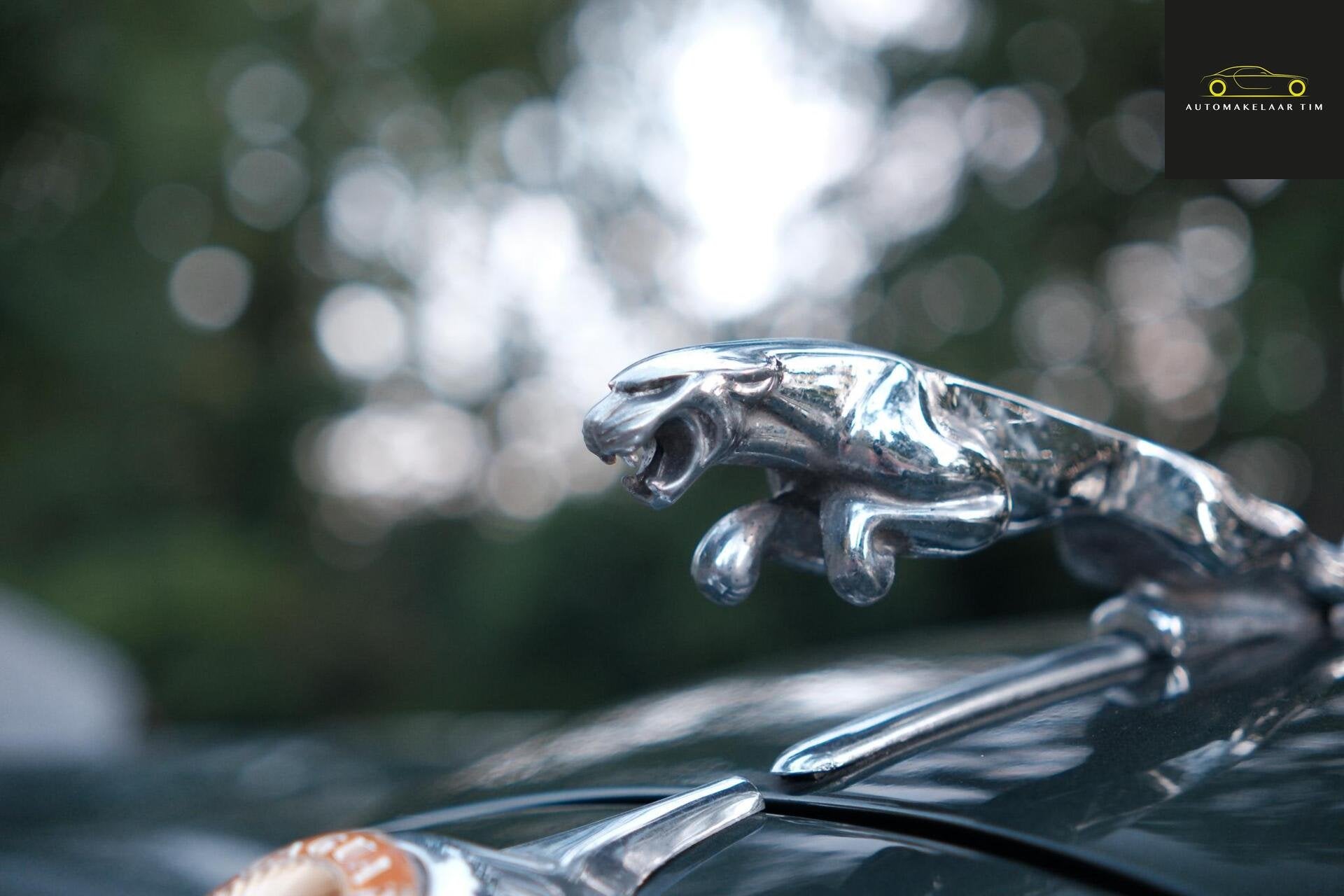 Jaguar MK2 / Mark 2 3.4L, foto 8