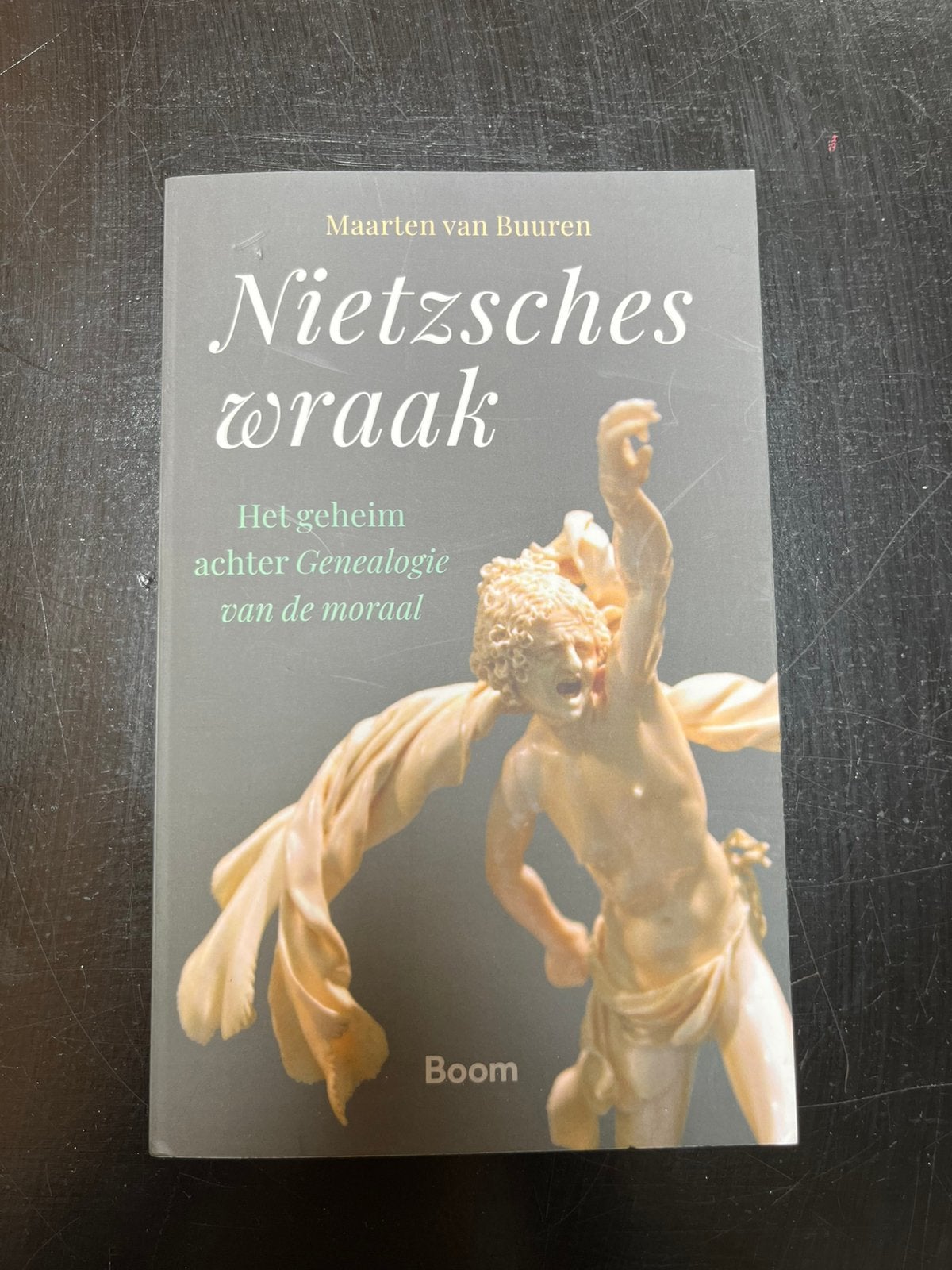 Maarten van Buuren - Nietzsches wraak, Ophalen of Verzenden, Zo goed als nieuw, Maarten van Buuren