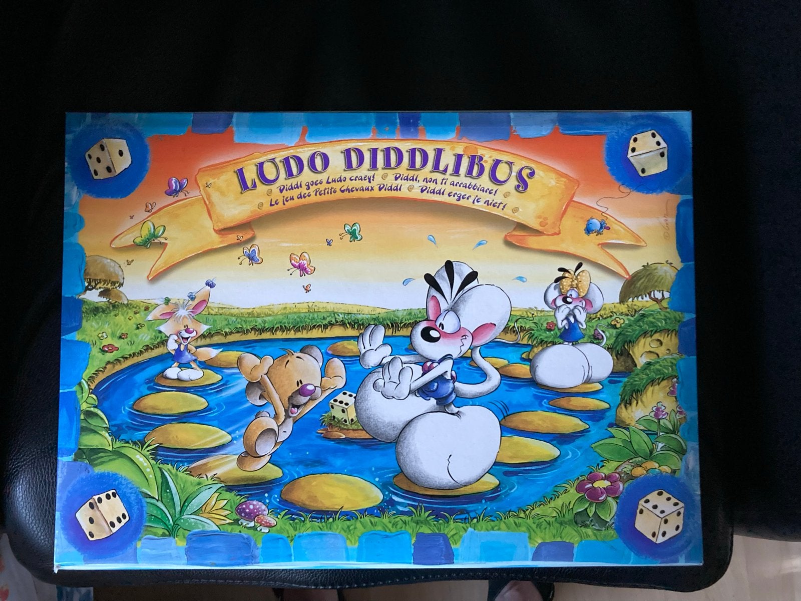 Diddle- Ludo Diddlibus - Diddle Mens Erger Je Niet, Drie of vier spelers, Ophalen of Verzenden, Zo goed als nieuw
