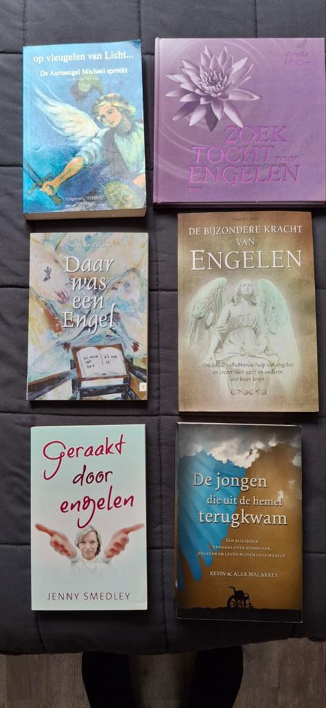 Engelenboeken: Spirituele Collectie (6 stuks), Gelezen, Achtergrond en Informatie, Spiritualiteit algemeen, Ophalen of Verzenden