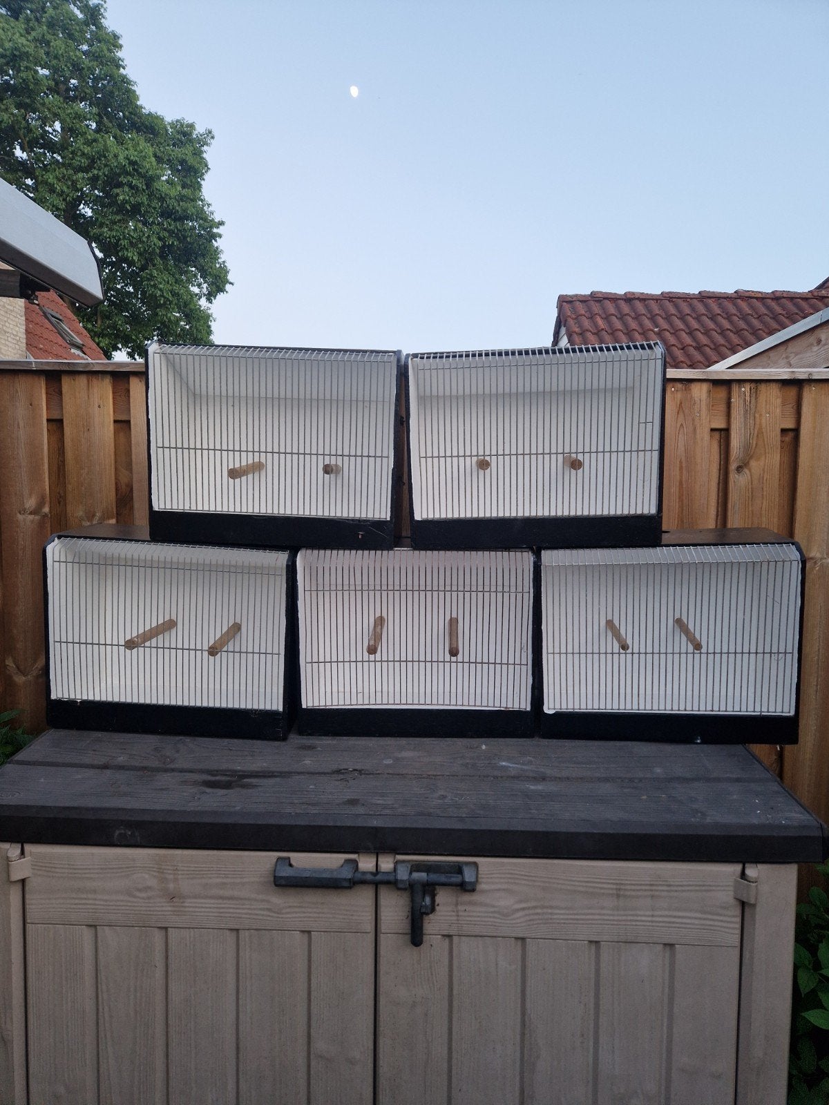 tt kooi, Ophalen of Verzenden, Gebruikt, Hout, Vogelkooi