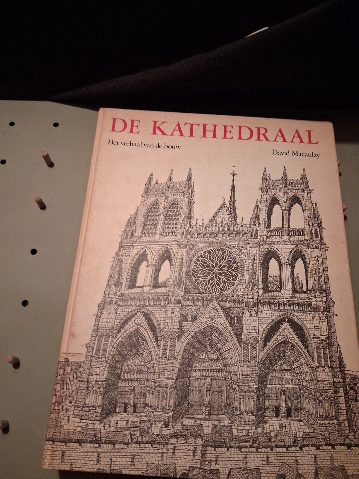 De Kathedraal - Het verhaal van de bouw, Boeken, Ophalen of Verzenden, Gelezen, Architectuur algemeen, David Macaulay