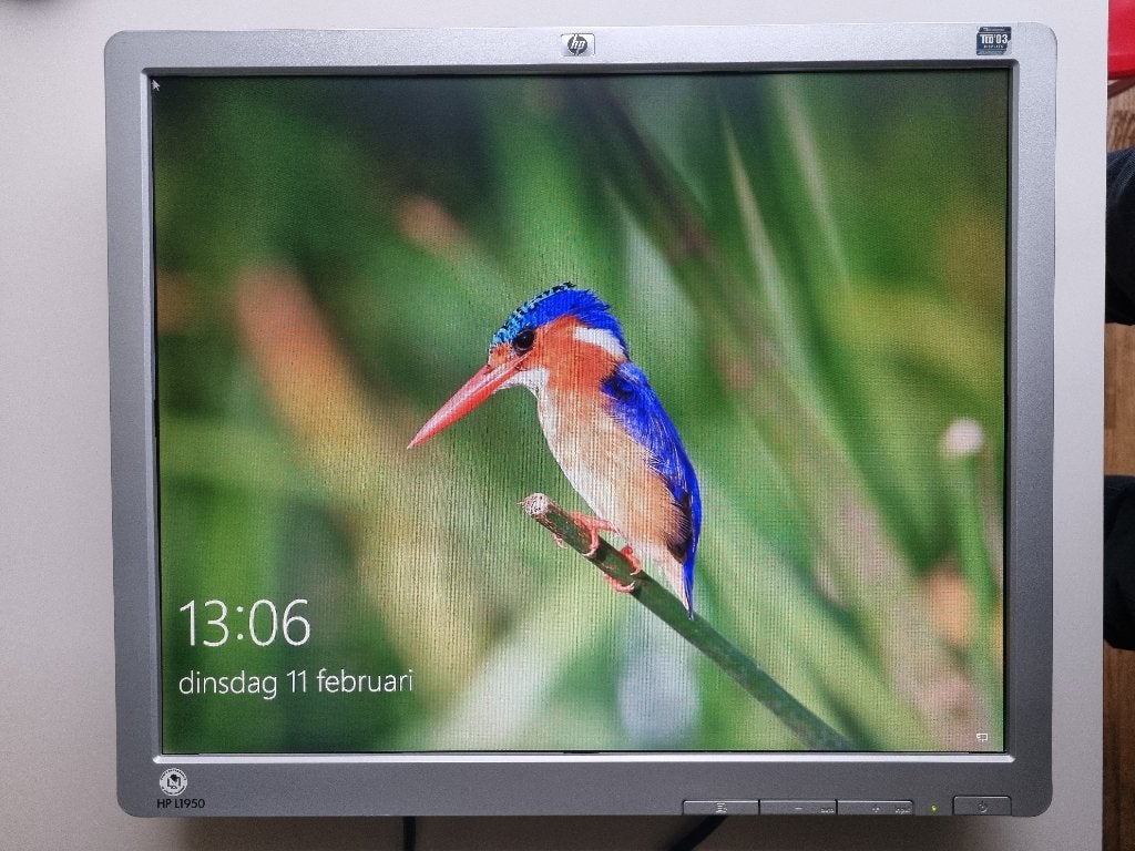Hewlett Packard, HP L1950 monitor, 19 inch, Computers en Software, Monitoren, Full HD, Ophalen of Verzenden, Zo goed als nieuw