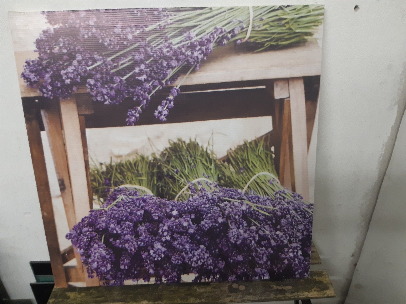 Tuinposter Canvas Lavendel 50x50 cm Tuinwanddecoratie, Ophalen