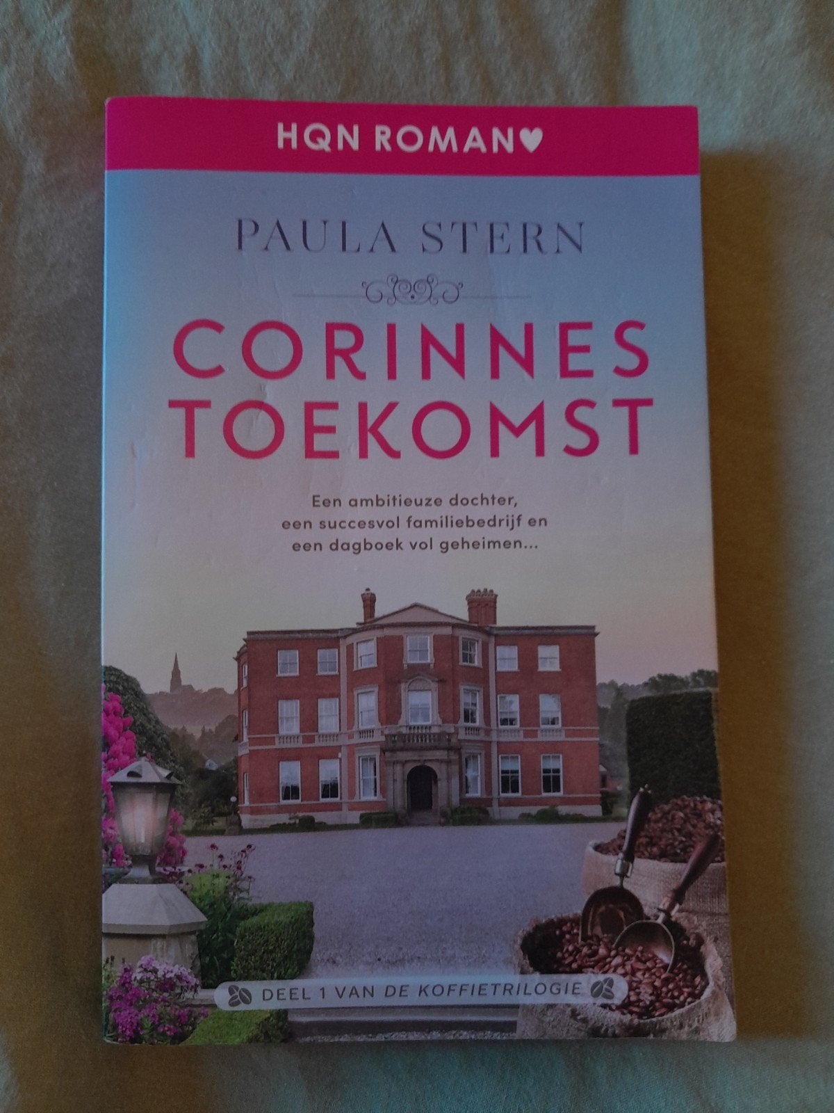 Boek Corinnes toekomst Paula Stern, Europa overig, Paula Stern, Ophalen, Gelezen