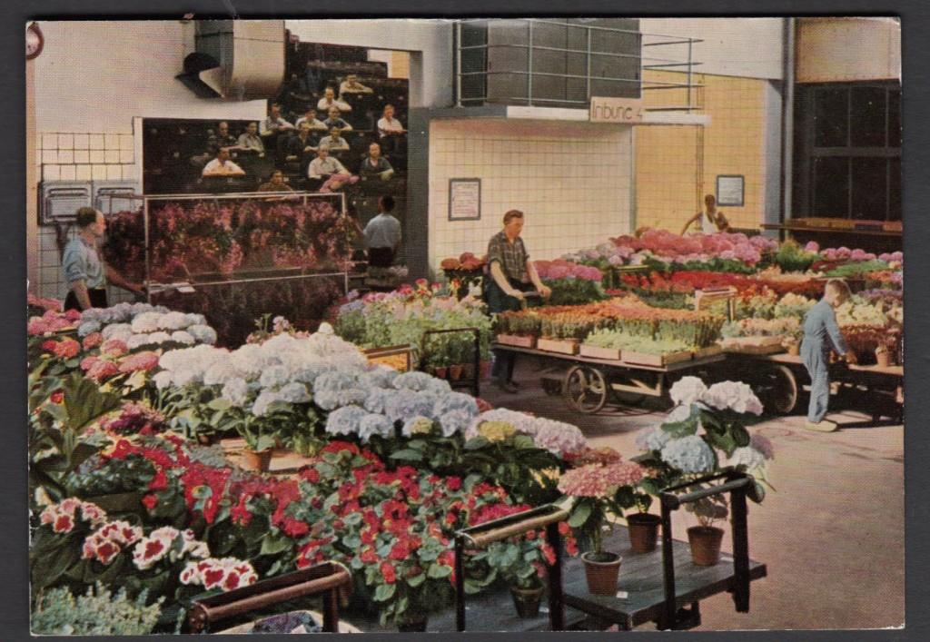 Aalsmeer Potplanten-veiling van de andere kant 1959 Ongelope, Verzenden, 1940 tot 1960, Ongelopen, Noord-Holland