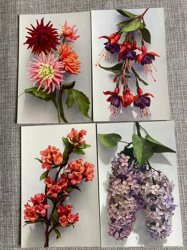 VINTAGE BLOEMEN KAARTEN, Ophalen