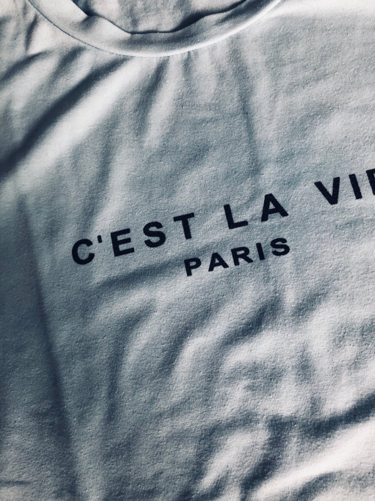 T-shirt 'C'est la vie Paris' - Maat S, Ophalen of Verzenden, Gedragen, Maat 46 (S) of kleiner, Blauw