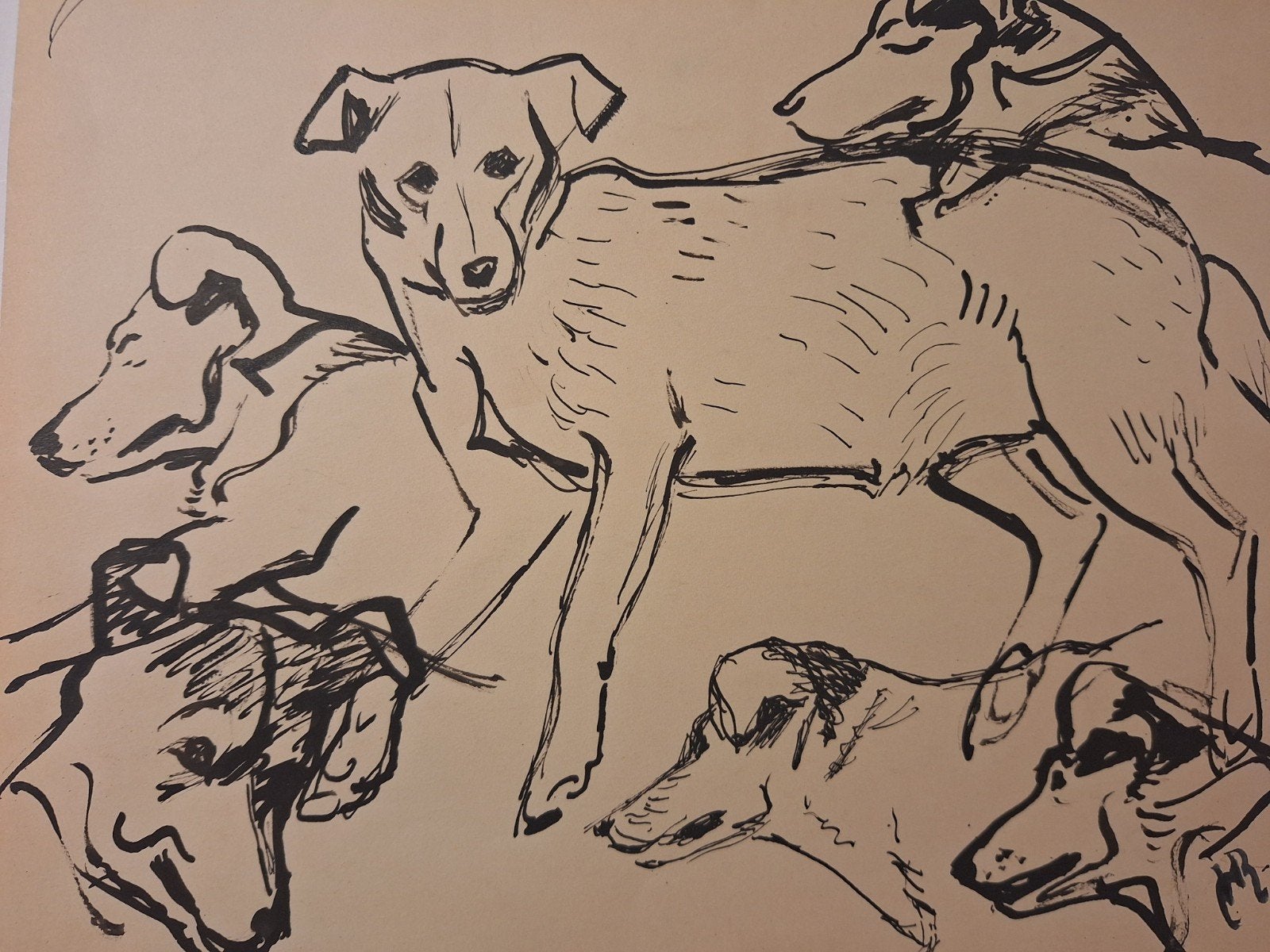 Studie tekening honden, gesigneerd HR, Ophalen of Verzenden, Tekening, Overige technieken, Gesigneerd