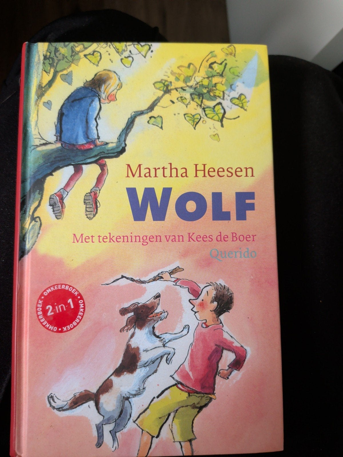 2-in-1 boek: Maandag heeft vleugels & Wolf - Martha Heesen, Ophalen
