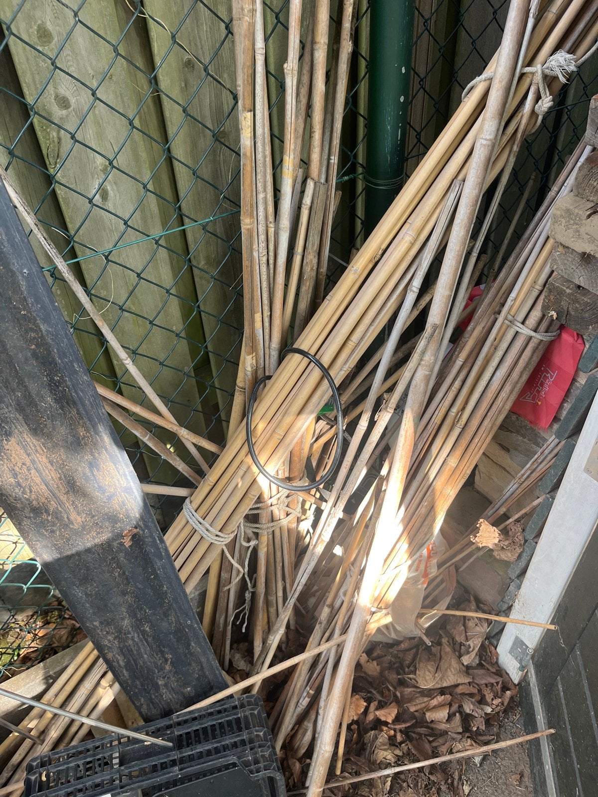 Bamboe stokken 1,5 en 2 meter lang (25-30 stuks), Tuin en Terras, Ophalen