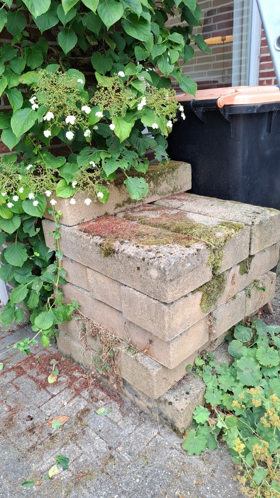 Graris af te halen gebruikte betontegels voor tuin of terras, Ophalen, Gebruikt, Minder dan 5 m², Beton