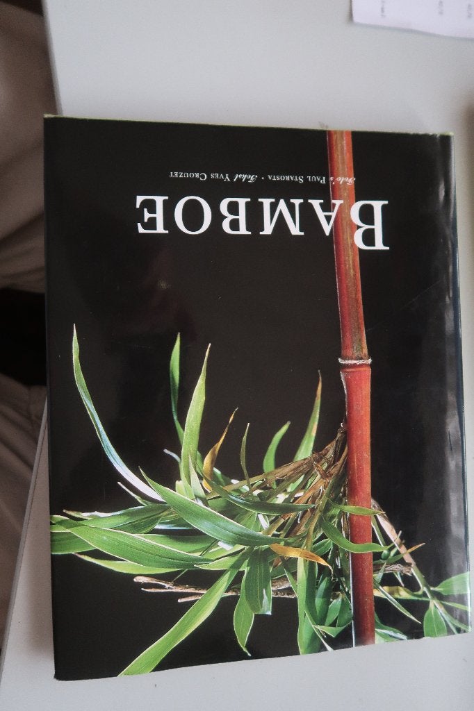 Bamboe, door Yves Crouzet--1998-boek, Ophalen of Verzenden, Bloeit niet, Volle zon, Overige soorten