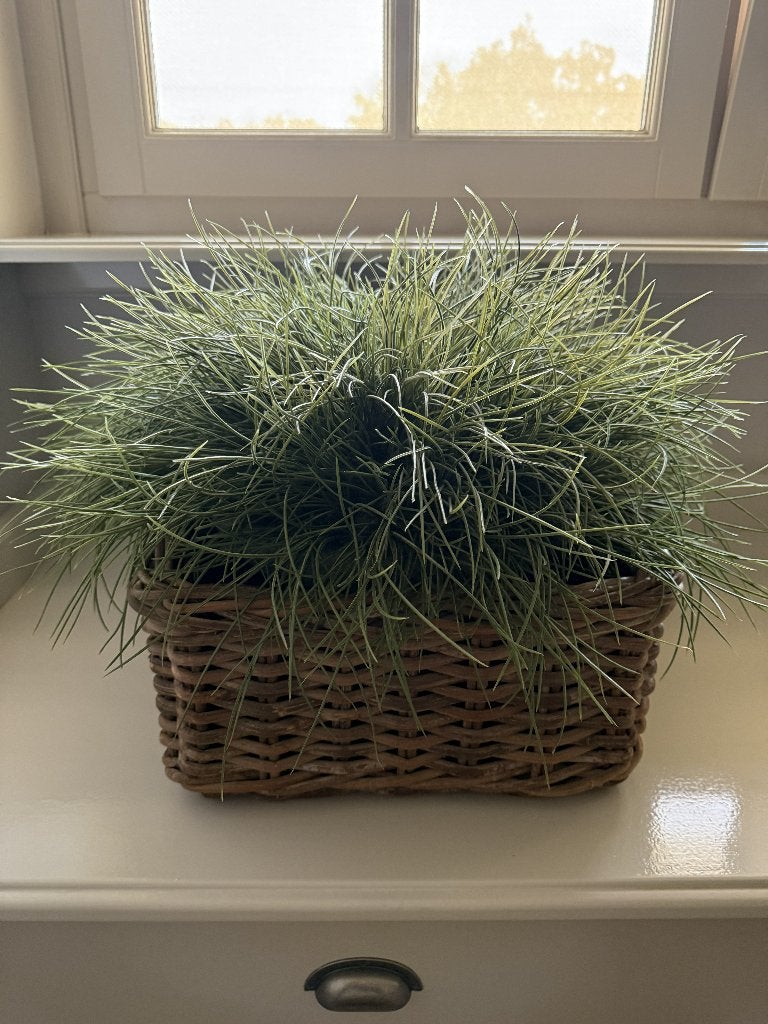 kunst planten, Ophalen, Zo goed als nieuw, Binnen, Inclusief kunstbloemen