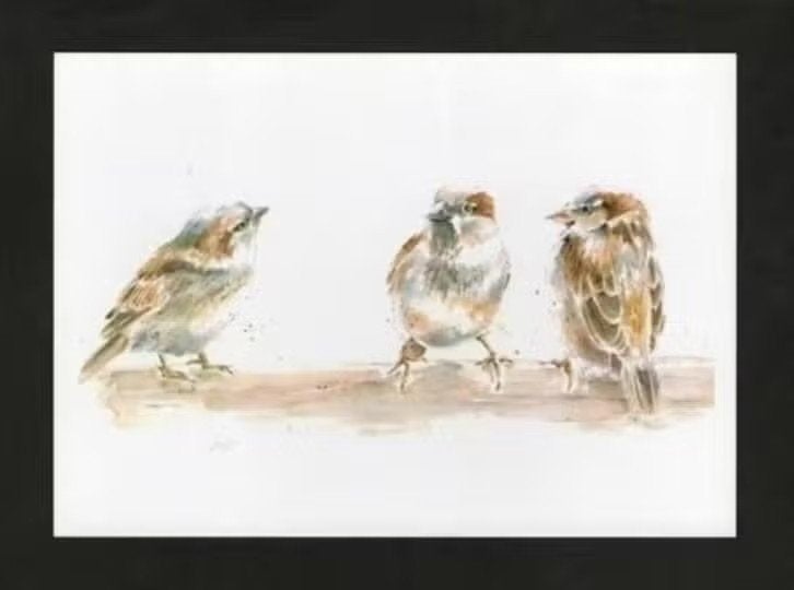 Huismus Mussen Passer Domesticus door Geertje Rigterink., Ophalen of Verzenden, 1980 tot heden, Ongelopen, Vogel