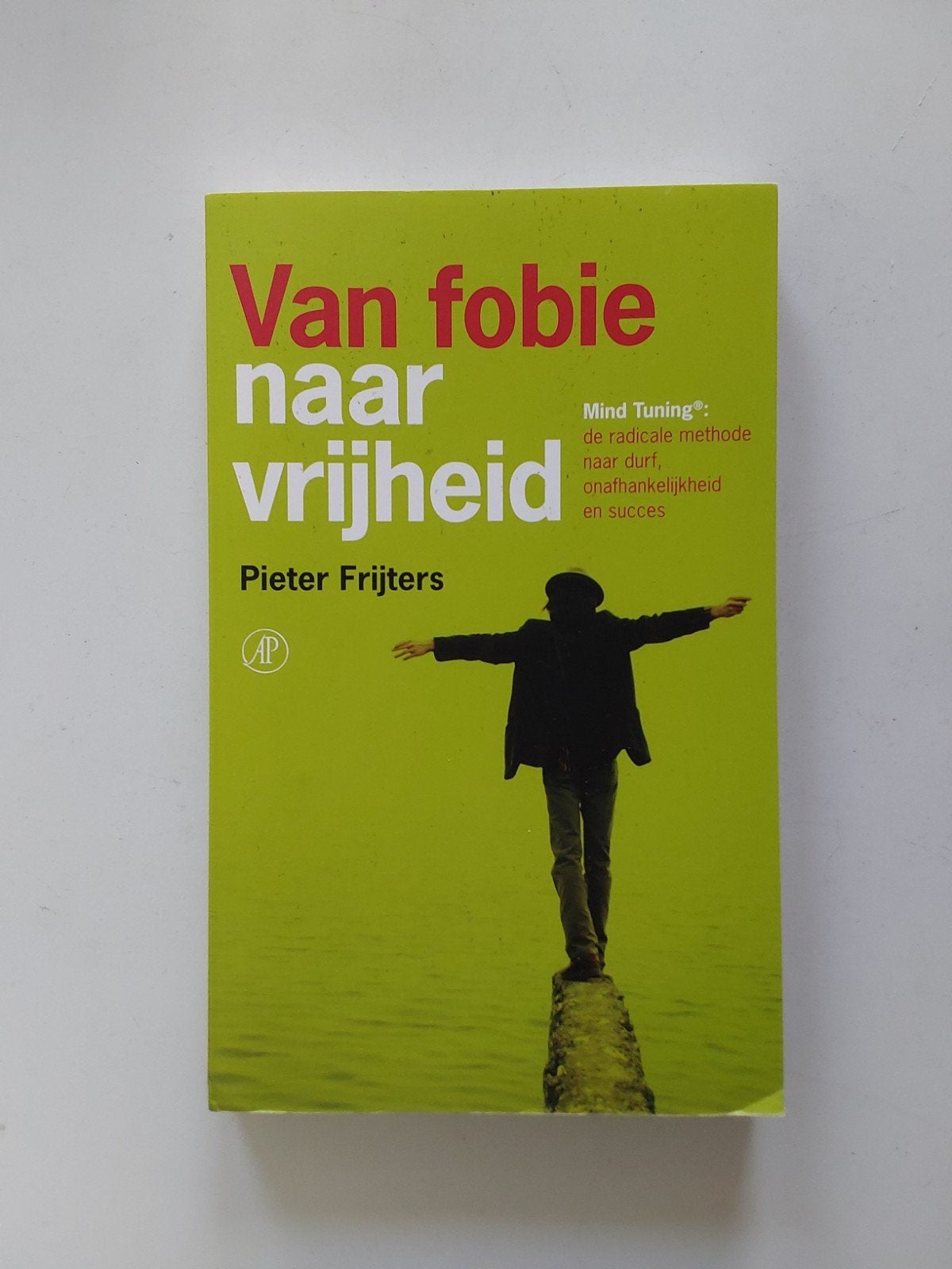 Pieter Frijters : Van fobie naar vrijheid, Ophalen of Verzenden, Zo goed als nieuw, Pieter Frijters