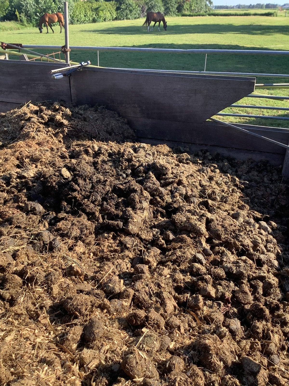 Paardenmest in zakken en dagverse paardenmest, Ophalen, Mest