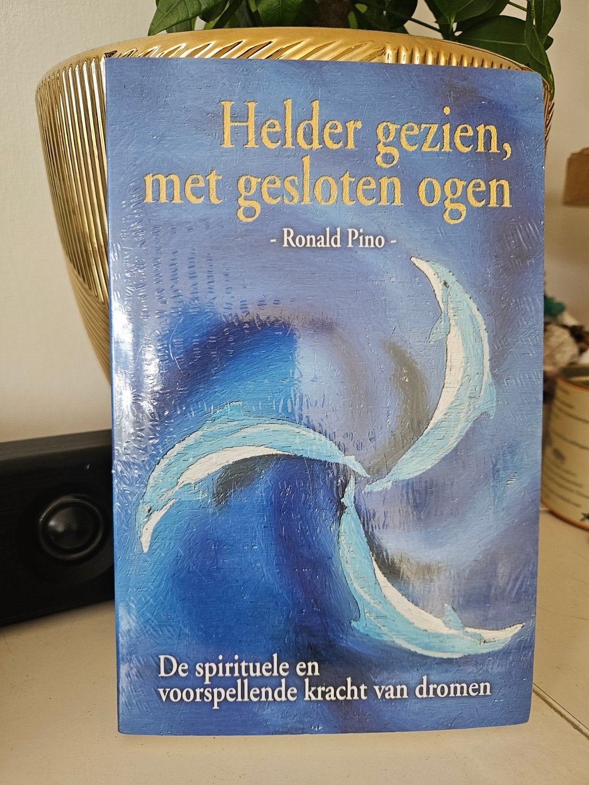 Helder gezien, met gesloten ogen - Ronald Pino, Achtergrond en Informatie, Spiritualiteit algemeen, Ophalen of Verzenden, Ronald Pino