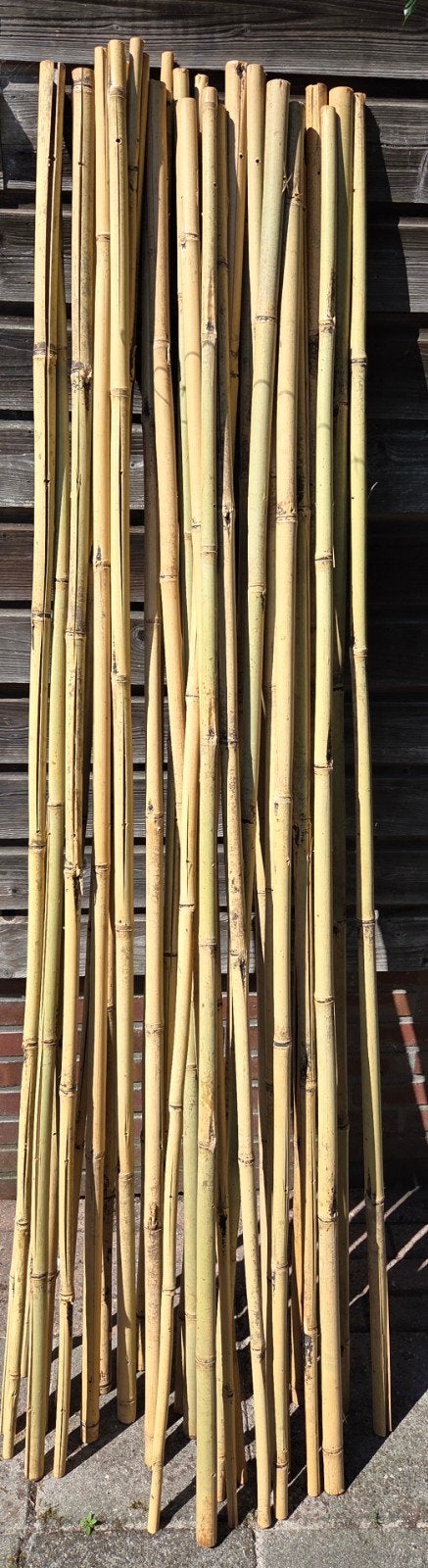Bamboe stokken - Diverse diktes 180 cm lang, Tuin en Terras, Ophalen, Nieuw, 180 tot 250 cm, Overige typen