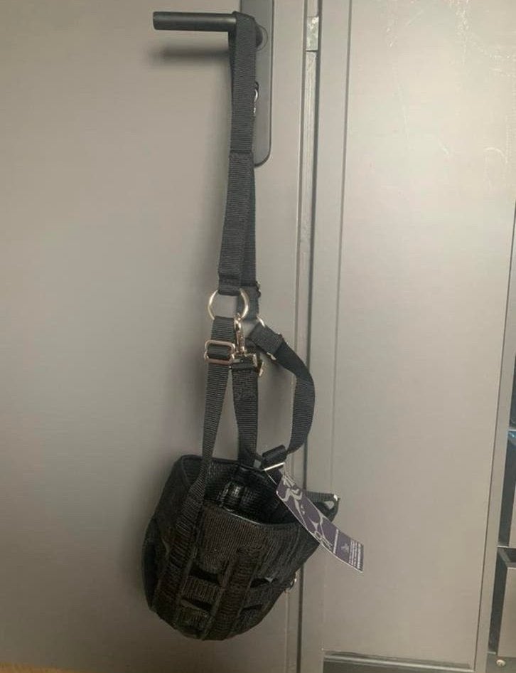 Nieuw! Graasmasker graaskorf Harry’s Horse Air, Ophalen of Verzenden, Nieuw