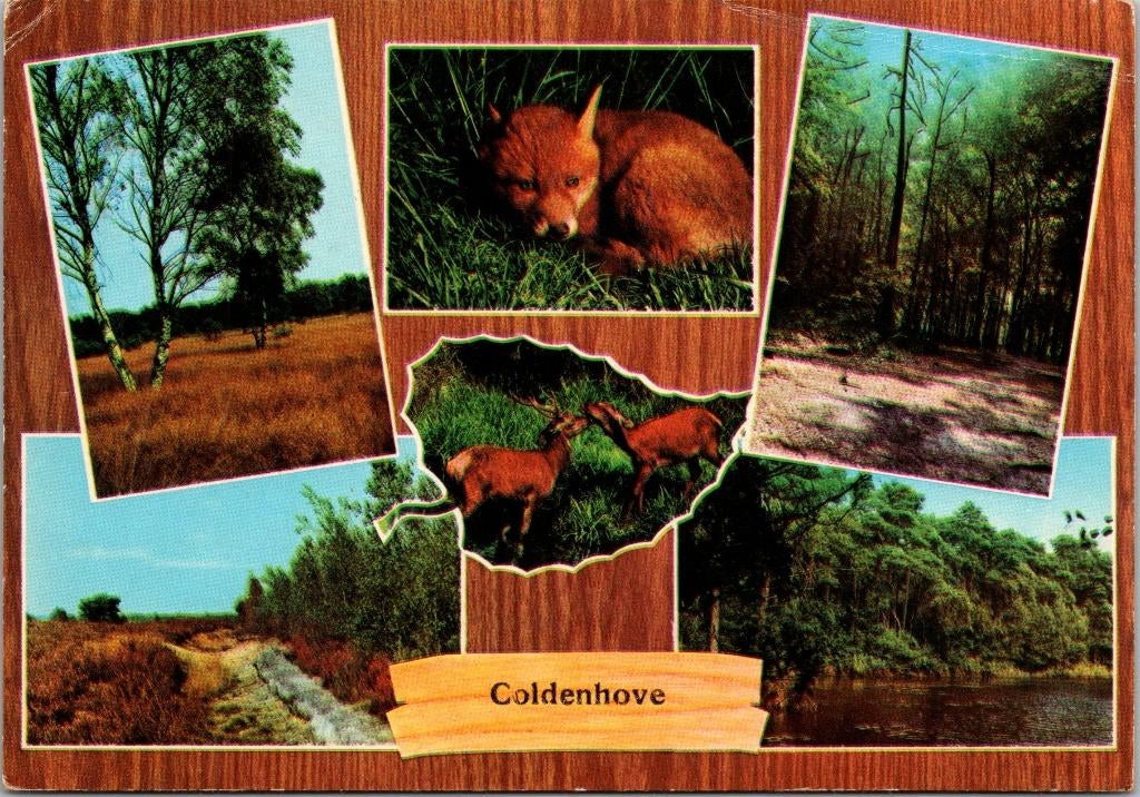 Coldenhove (1973), Verzenden, 1960 tot 1980, Gelopen, Gelderland
