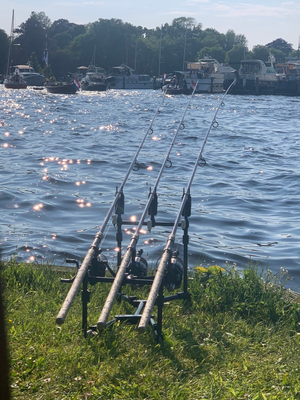 3 karper hemgels 300lb  met 3 daiwa molens bigpit, Ophalen, Gebruikt, Complete set