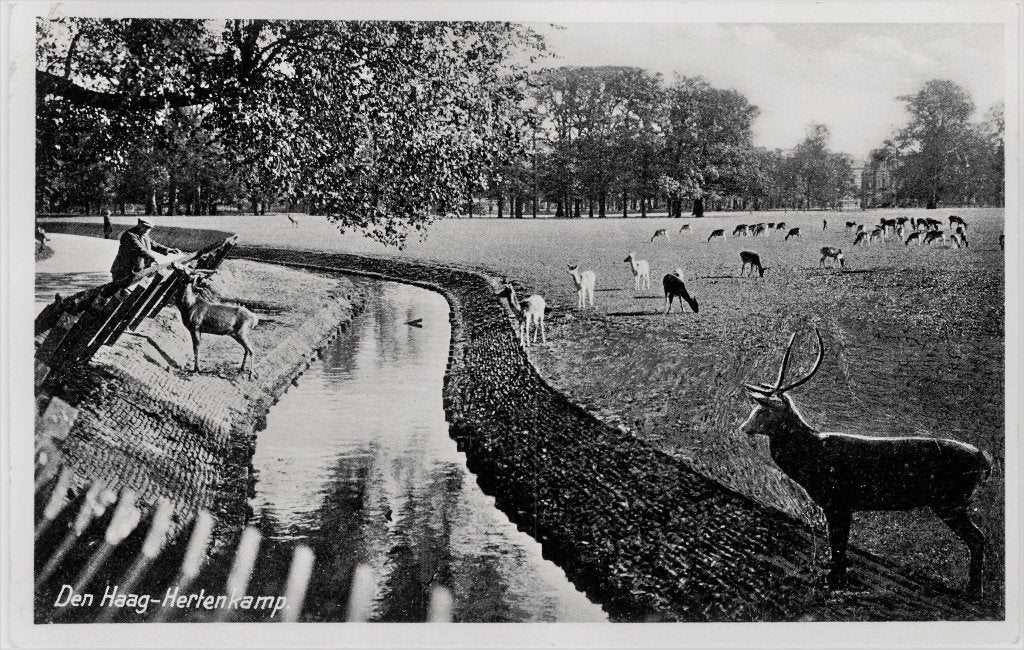 968103	Den Haag	Hertenkamp	1935	Gelopen met postzegel